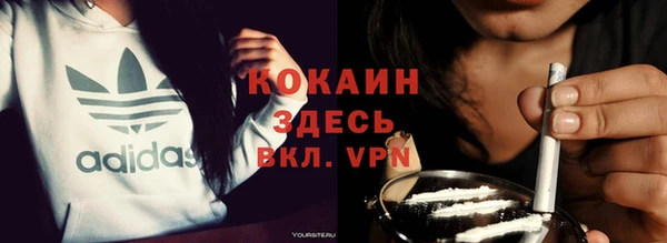 стаф Баксан