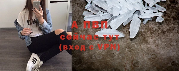 стаф Баксан