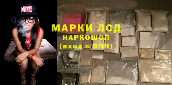 стаф Баксан