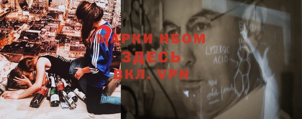 стаф Баксан